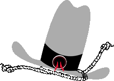 The Cowboy Connection Hat